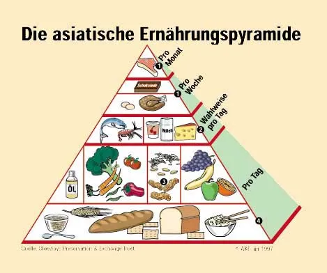 asiatische Ernaehrungspyramide