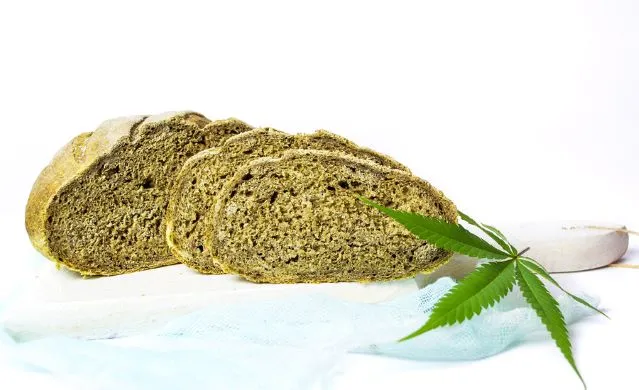 Hanfbrot Hanfbrot mit einer Zugabe von Hanfmehl ist sehr eiweißreich und ist grün