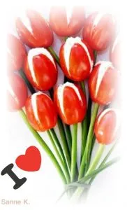 Tulpenstrauß zum Aufessen Tulpenstrauß Zum Aufessen