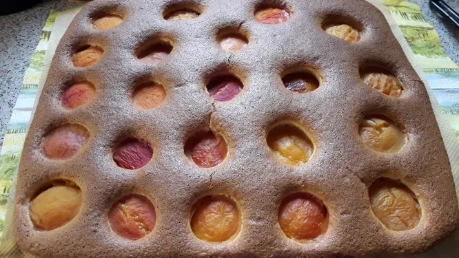 Marillenkuchen Marillenkuchen
