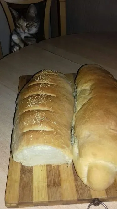 einfaches Hausbrot Selbst gebackenes Brot ist halt immer ganz besonders köstlich