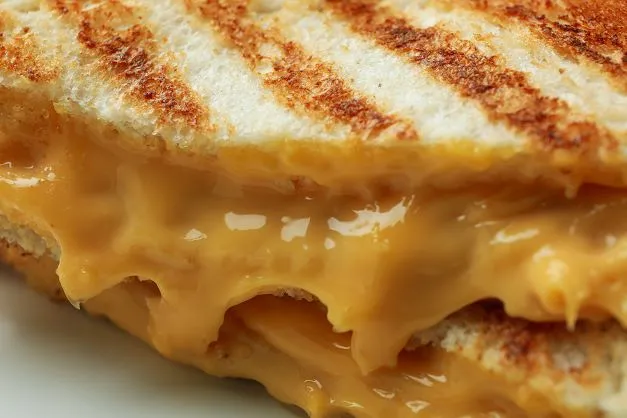 Gegrillter Sandwich mit Cheddar Käse Wie man den perfekt, goldbraun gegrillten Sandwich mit Cheddar Käse zubereitet