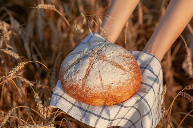 Dinkel Joghurt Brot Dieses saftig, knusprige Omas Dinkel Joghurt Brot kommt in den kalten Ofen und dieser wird erst dann aufgeheizt