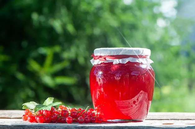 Ribisel Marmelade Ribisel Marmelade aus nur 3 Zutaten gemacht