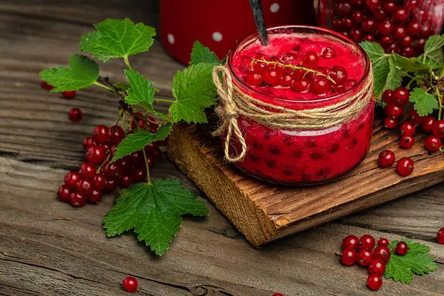 Johannisbeer Marmelade Johannisbeer Marmelade