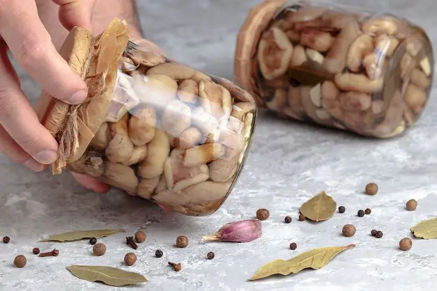 Eingemachter Pilze Im Glaeser